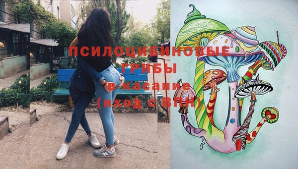 дживик Инта