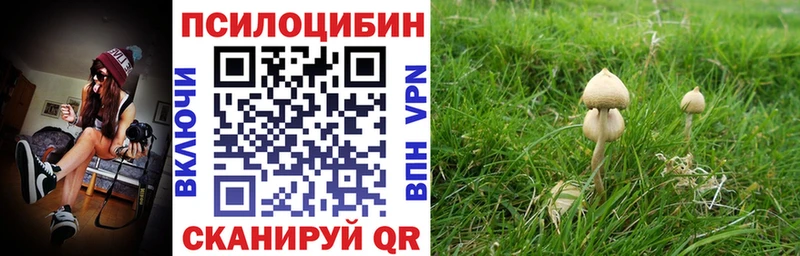 Галлюциногенные грибы ЛСД  Бикин 